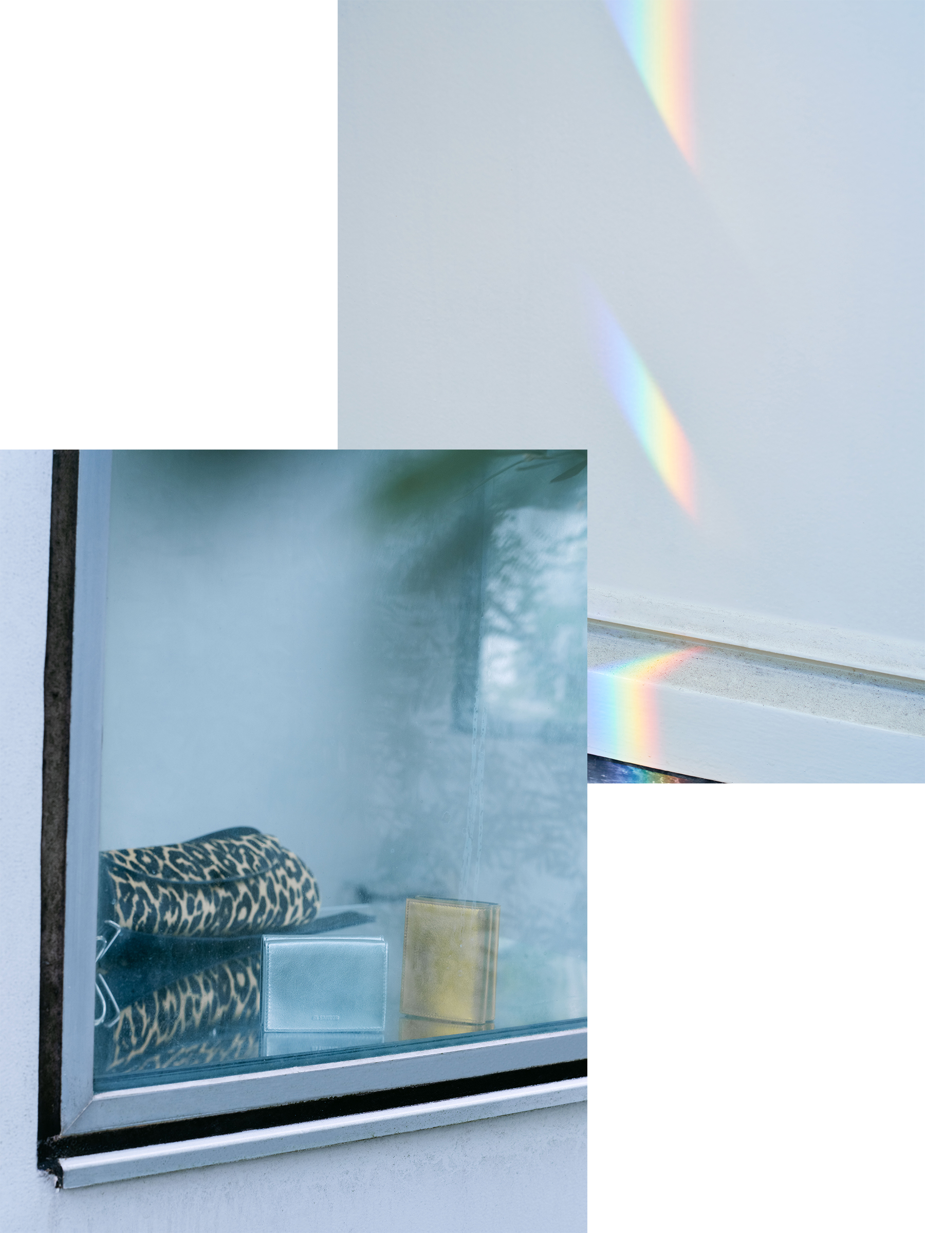 写真: カンノーロ バッグ、タイニー ウォレット